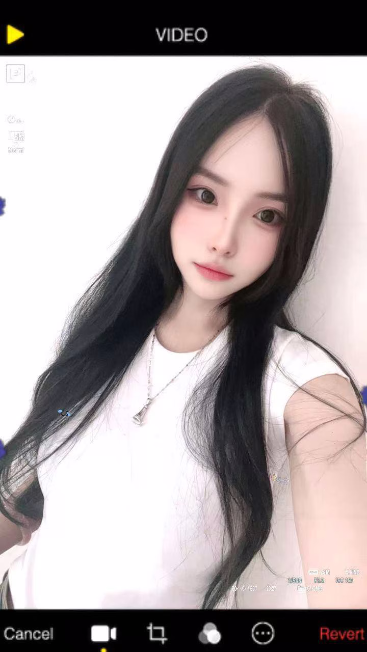 东莞-石原里美