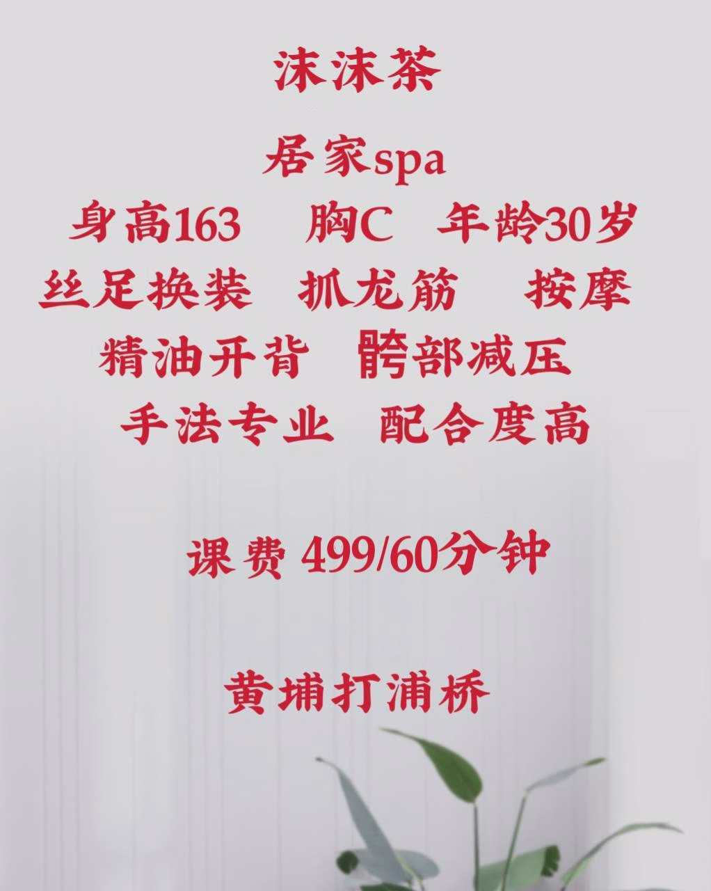 媒体文件 4