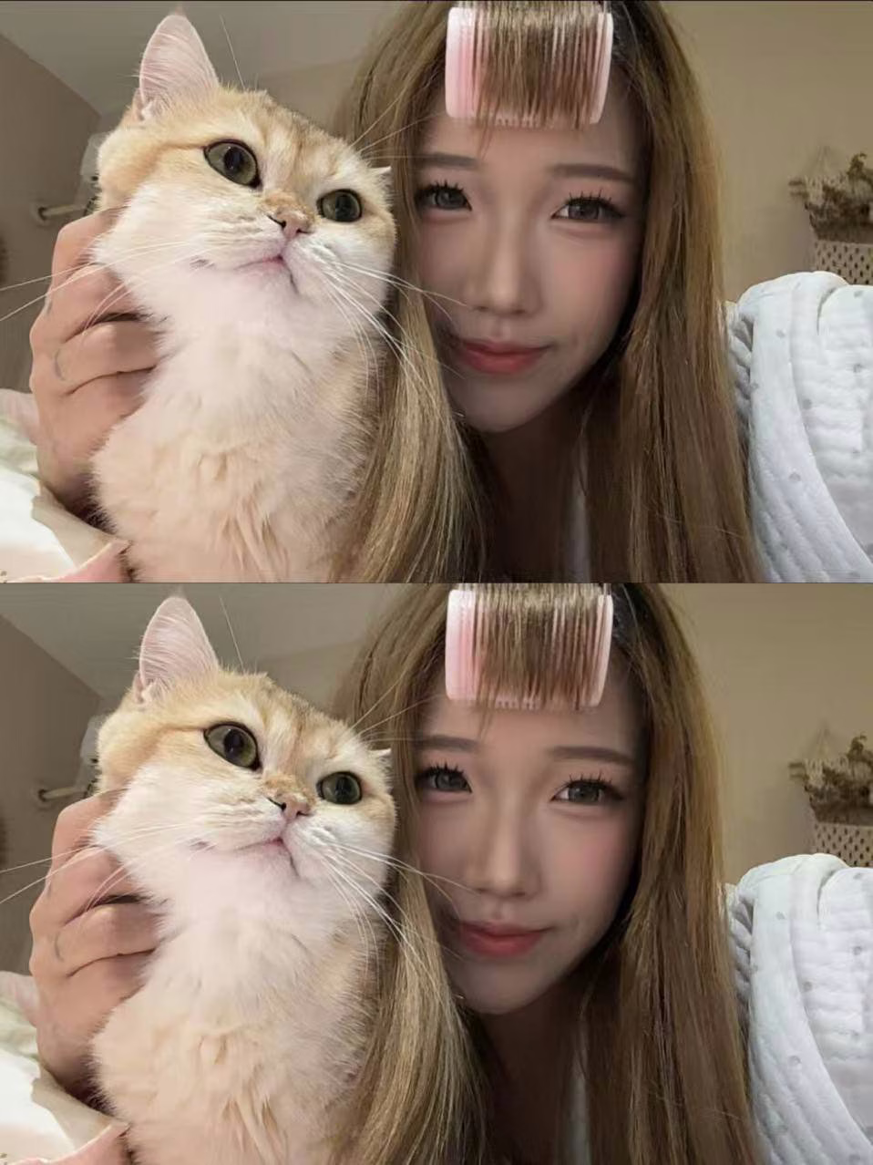 媒体文件 2