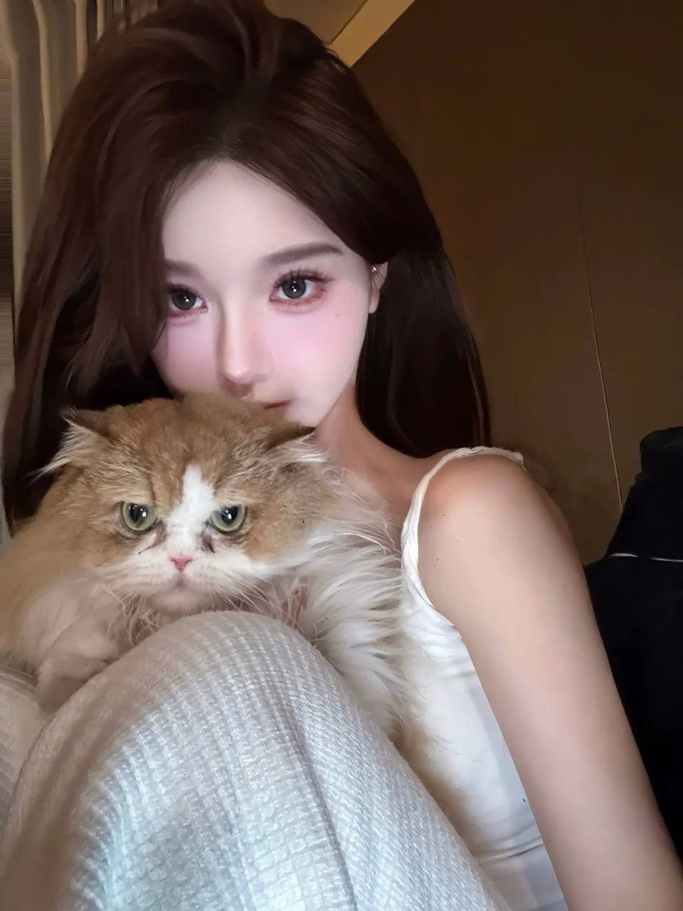 媒体文件 2